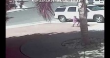 【動画】勇敢なネコが凶暴な犬から子供を助けるの巻